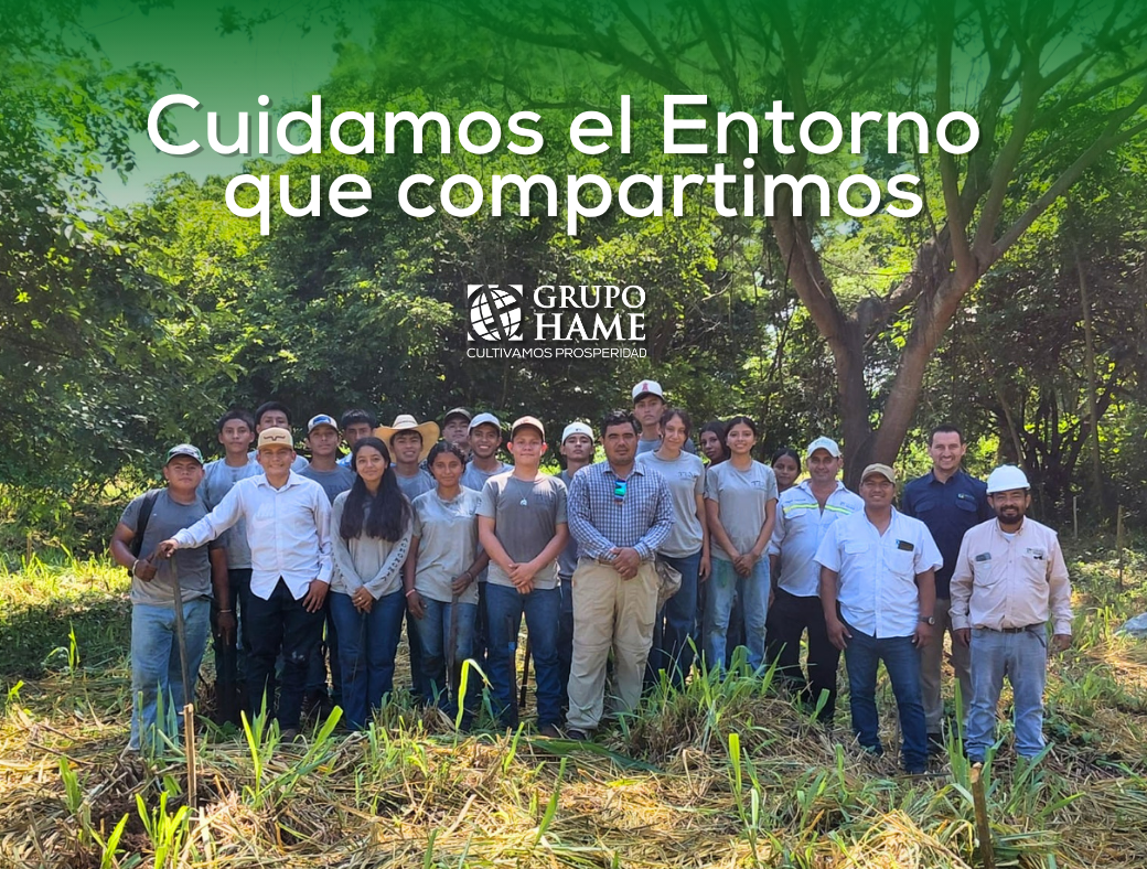 Grupo HAME reforestación